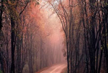 5地新增16例境外输入病例 全国口岸防控再升级