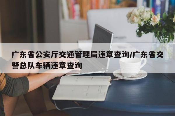 广东省公安厅交通管理局违章查询/广东省交警总队车辆违章查询