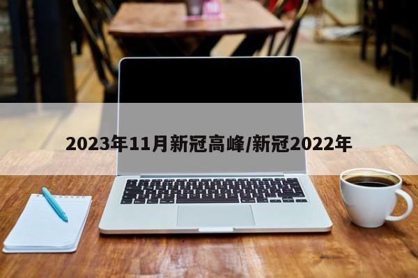 2023年11月新冠高峰/新冠2022年