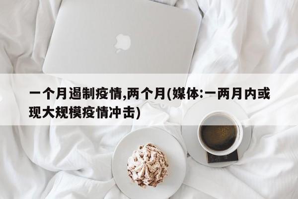 一个月遏制疫情,两个月(媒体:一两月内或现大规模疫情冲击)