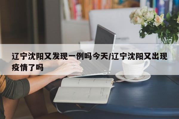 辽宁沈阳又发现一例吗今天/辽宁沈阳又出现疫情了吗