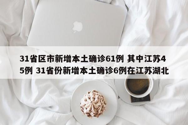 31省区市新增本土确诊61例 其中江苏45例 31省份新增本土确诊6例在江苏湖北