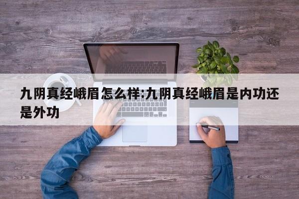 九阴真经峨眉怎么样:九阴真经峨眉是内功还是外功