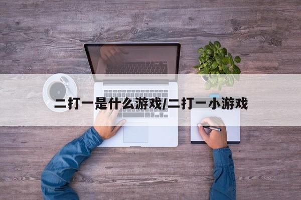二打一是什么游戏/二打一小游戏
