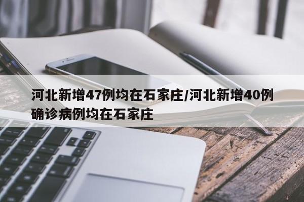 河北新增47例均在石家庄/河北新增40例确诊病例均在石家庄