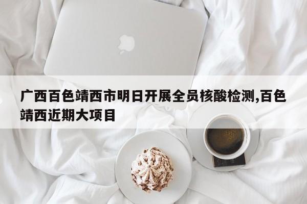 广西百色靖西市明日开展全员核酸检测,百色靖西近期大项目