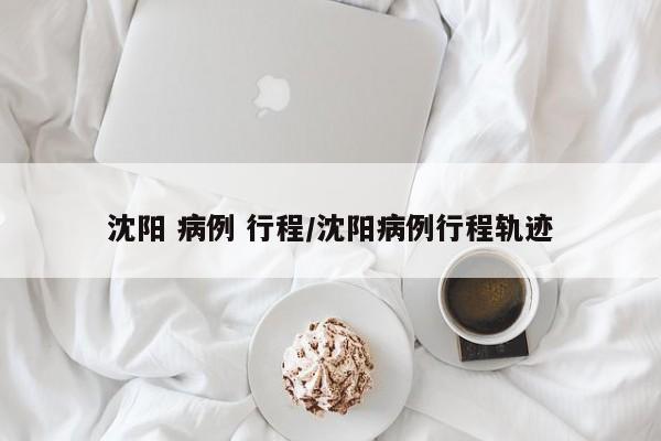 沈阳 病例 行程/沈阳病例行程轨迹