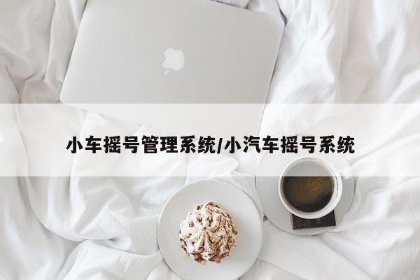 小车摇号管理系统/小汽车摇号系统
