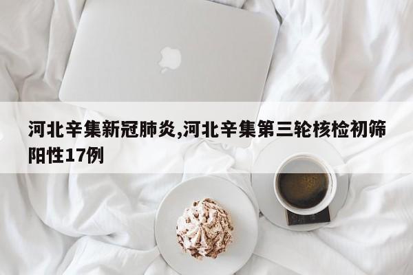 河北辛集新冠肺炎,河北辛集第三轮核检初筛阳性17例
