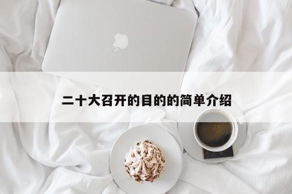 二十大召开的目的的简单介绍