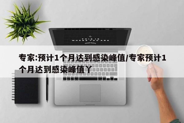 专家:预计1个月达到感染峰值/专家预计1个月达到感染峰值丫