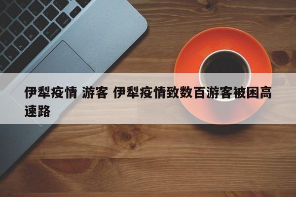 伊犁疫情 游客 伊犁疫情致数百游客被困高速路