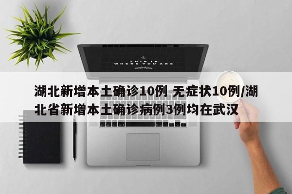 湖北新增本土确诊10例 无症状10例/湖北省新增本土确诊病例3例均在武汉