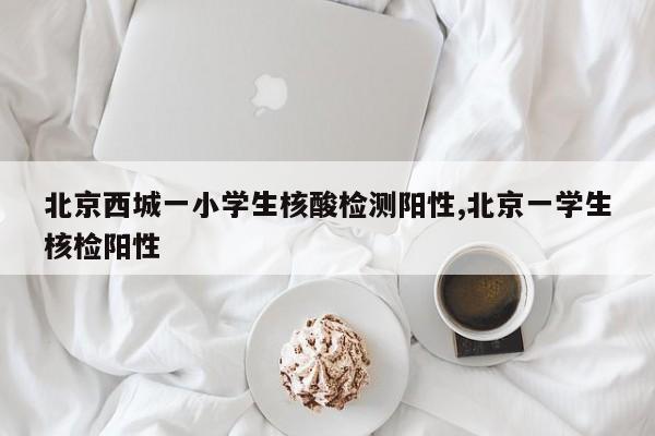 北京西城一小学生核酸检测阳性,北京一学生核检阳性